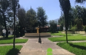 VS066 00021