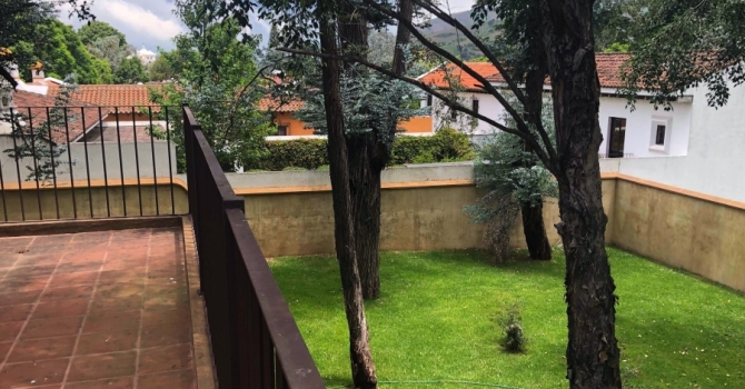 VS069 00017 VS069 00017