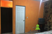 AP066 00007