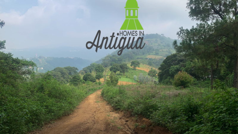 T049 00003 T049 00003