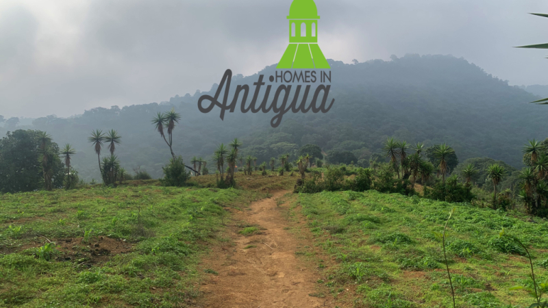 T049 00004 T049 00004