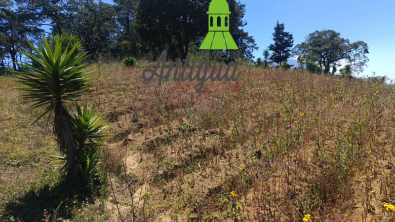 T049 00005 T049 00005