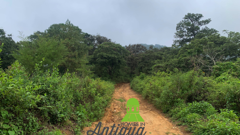 T049 00008 T049 00008