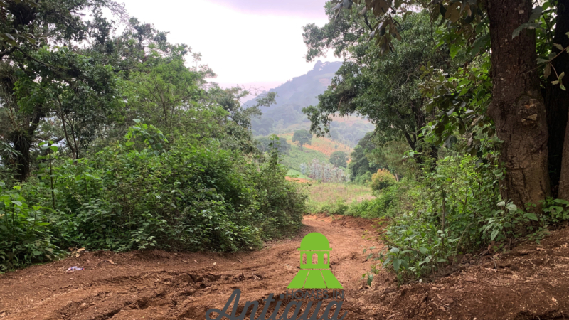 T049 00009 T049 00009