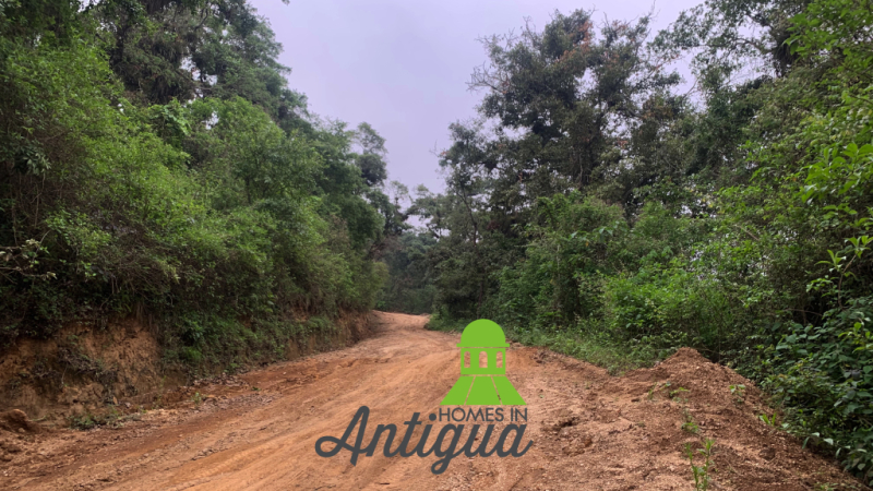 T049 00011 T049 00011