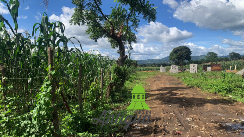 T054 00005 T054 00005