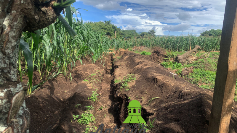 T054 00006 T054 00006