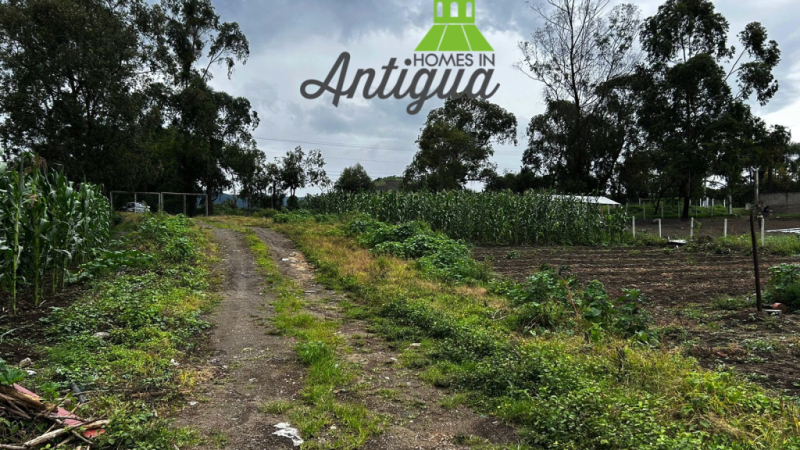 Terreno en Dueñas orilla de carretera en venta