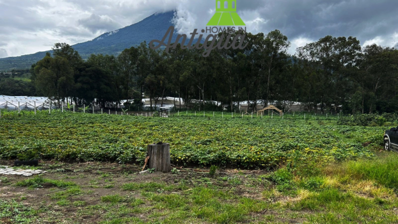 T057 00002 T057 00002