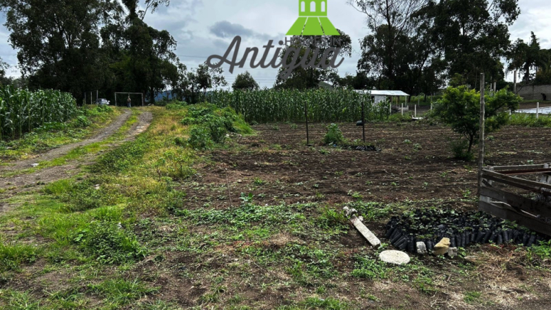 T057 00008 T057 00008