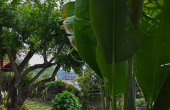 AP074 00010