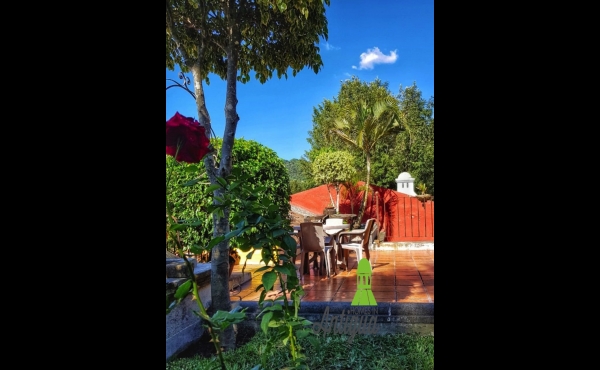 APARTMENT FOR RENT